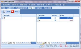 具備明細(xì)碼管理的藍(lán)格布業(yè)紡織銷售管理軟件，廣州軟件開發(fā)助力行業(yè)升級(jí)