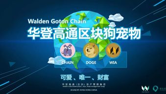 華登區(qū)塊狗推廣機制開發(fā)系統(tǒng) 廣州軟件開發(fā)的創(chuàng)新實踐