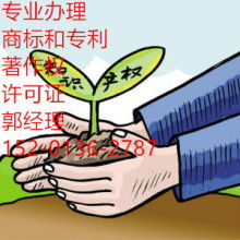 網絡文化經營 機遇、挑戰與合規之道